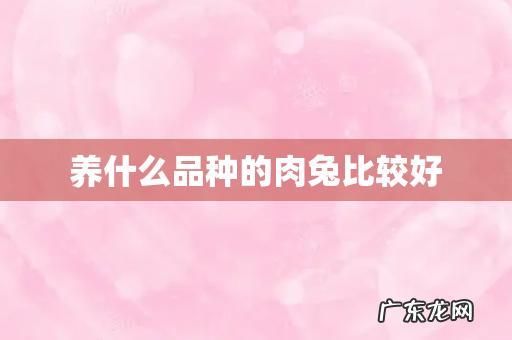 养什么品种的肉兔比较好