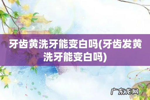 牙齿发黄洗牙能变白吗 牙齿黄洗牙能变白吗