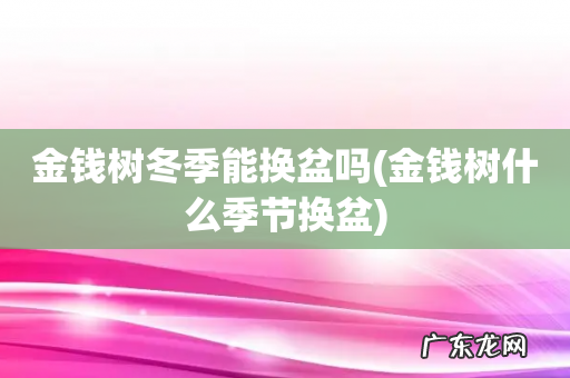 金钱树什么季节换盆 金钱树冬季能换盆吗