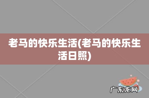 老马的快乐生活日照 老马的快乐生活