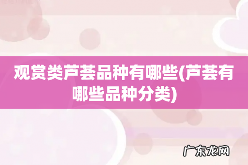芦荟有哪些品种分类 观赏类芦荟品种有哪些