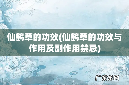仙鹤草的功效与作用及副作用禁忌 仙鹤草的功效