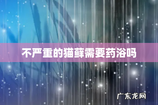 不严重的猫藓需要药浴吗