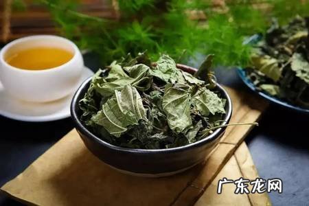 “霜降”后采摘的桑叶更有效?霜桑叶怎么用?