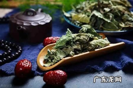 “霜降”后采摘的桑叶更有效?霜桑叶怎么用?