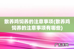 散养鸡饲养的注意事项有哪些 散养鸡饲养的注意事项