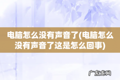 电脑怎么没有声音了这是怎么回事 电脑怎么没有声音了