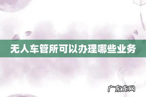 无人车管所可以办理哪些业务