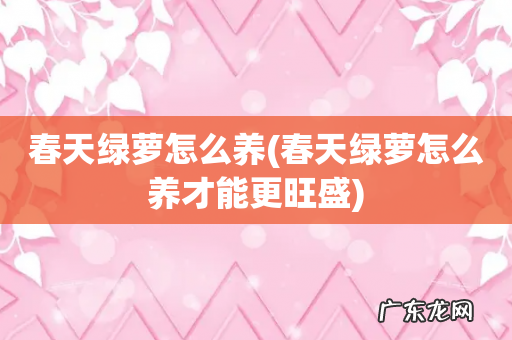 春天绿萝怎么养才能更旺盛 春天绿萝怎么养