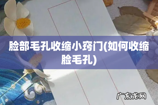 如何收缩脸毛孔 脸部毛孔收缩小窍门