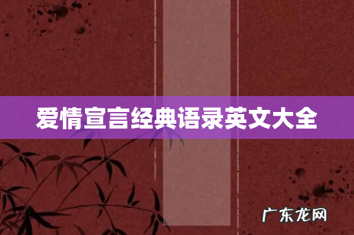 爱情宣言经典语录英文大全