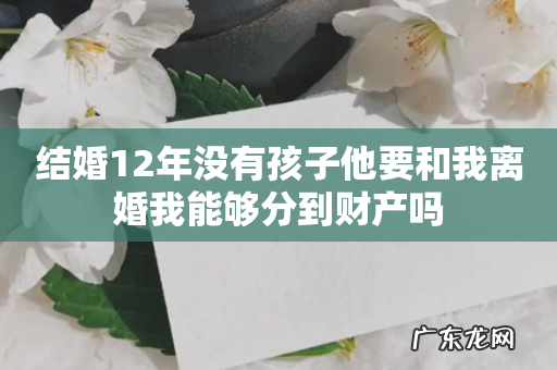 结婚12年没有孩子他要和我离婚我能够分到财产吗