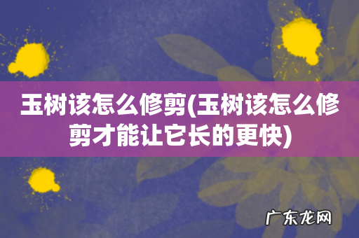 玉树该怎么修剪才能让它长的更快 玉树该怎么修剪