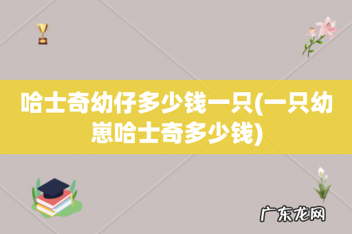 一只幼崽哈士奇多少钱 哈士奇幼仔多少钱一只