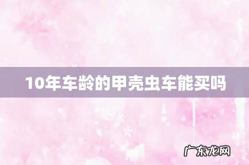10年车龄的甲壳虫车能买吗