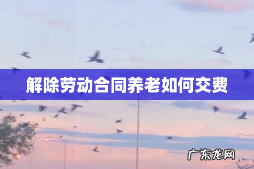 解除劳动合同养老如何交费