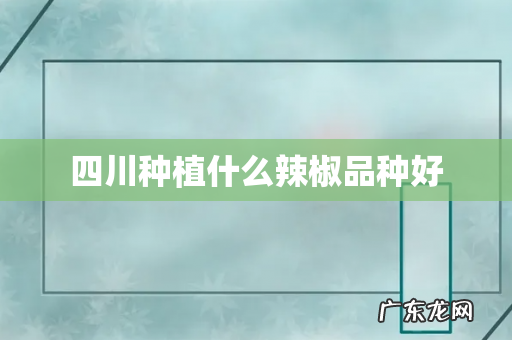 四川种植什么辣椒品种好