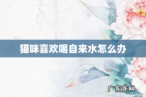 猫咪喜欢喝自来水怎么办