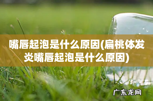 扁桃体发炎嘴唇起泡是什么原因 嘴唇起泡是什么原因