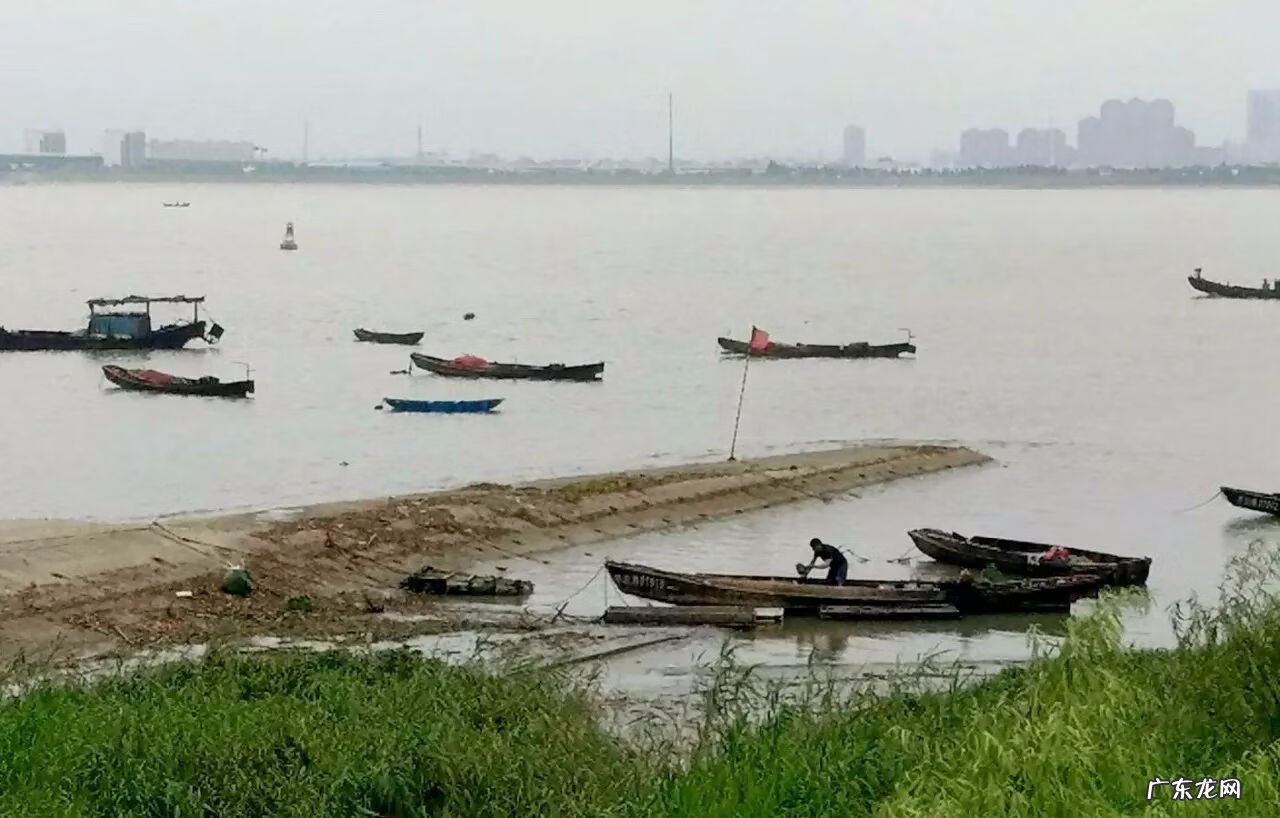 今日鳗鱼价格行情走势 鳗鱼价格行情