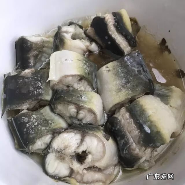 今日鳗鱼价格行情走势 鳗鱼价格行情