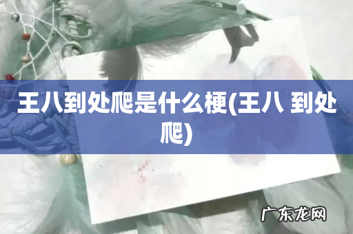 王八 到处爬 王八到处爬是什么梗