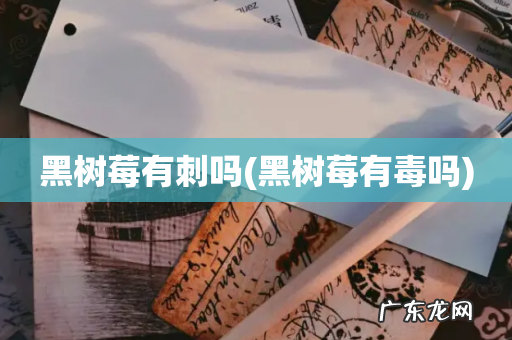 黑树莓有毒吗 黑树莓有刺吗