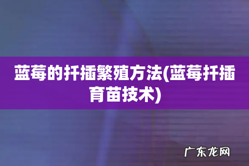 蓝莓扦插育苗技术 蓝莓的扦插繁殖方法