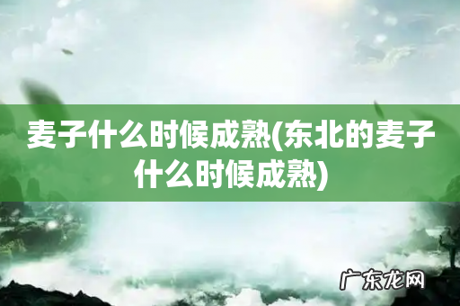 东北的麦子什么时候成熟 麦子什么时候成熟
