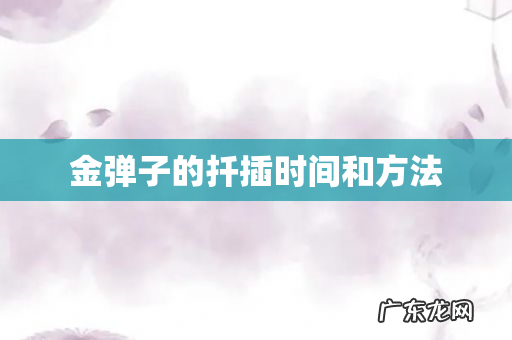 金弹子的扦插时间和方法