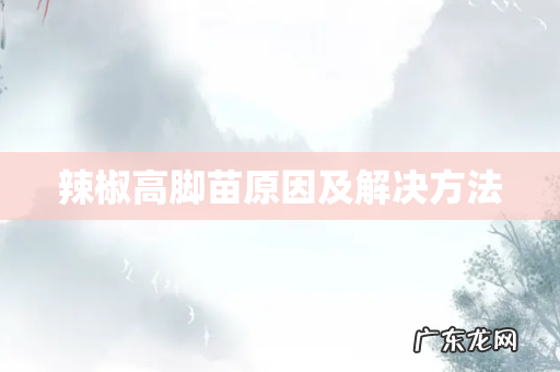 辣椒高脚苗原因及解决方法