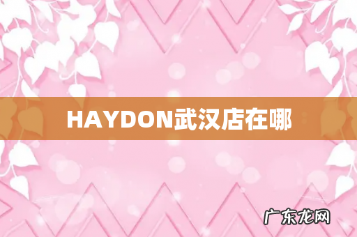 HAYDON武汉店在哪