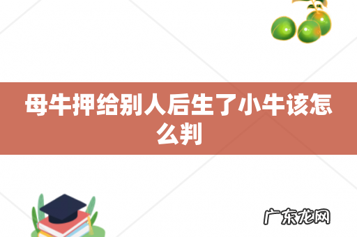 母牛押给别人后生了小牛该怎么判