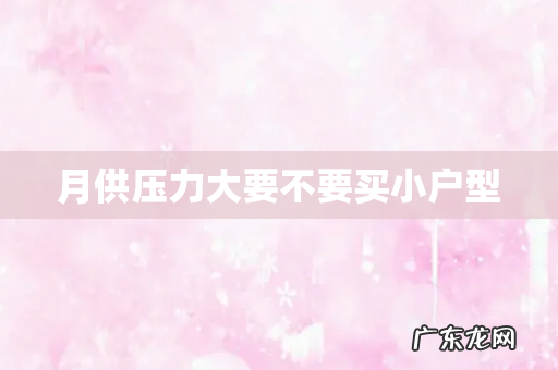 月供压力大要不要买小户型