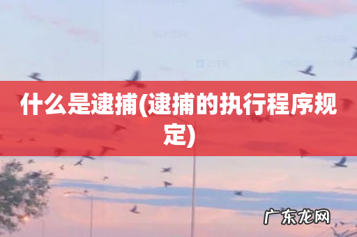 逮捕的执行程序规定 什么是逮捕