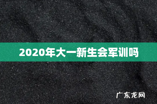 2020年大一新生会军训吗