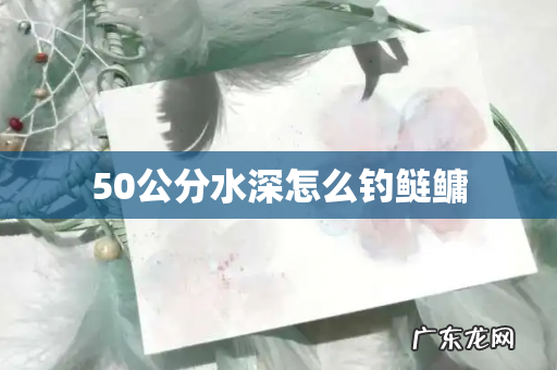 50公分水深怎么钓鲢鳙