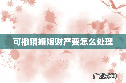 可撤销婚姻财产要怎么处理