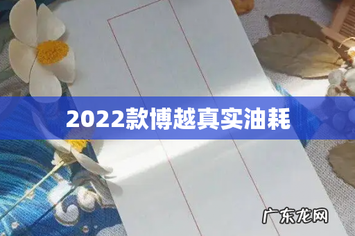 2022款博越真实油耗