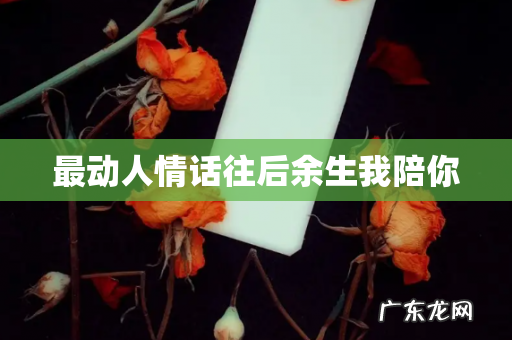 最动人情话往后余生我陪你