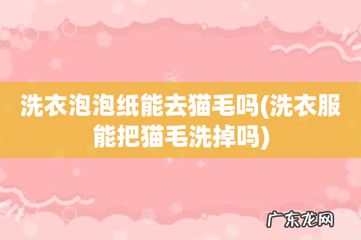 洗衣服能把猫毛洗掉吗 洗衣泡泡纸能去猫毛吗