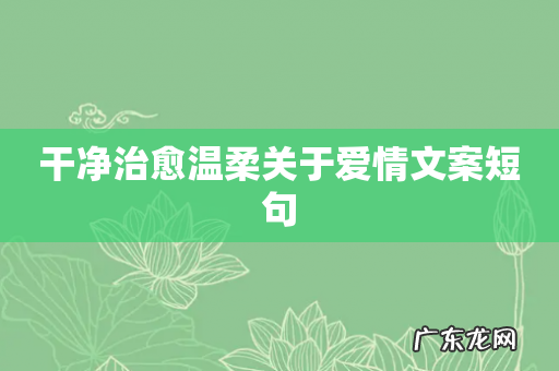 干净治愈温柔关于爱情文案短句