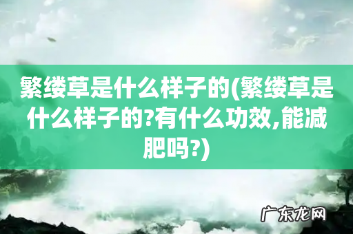 繁缕草是什么样子的?有什么功效,能减肥吗? 繁缕草是什么样子的