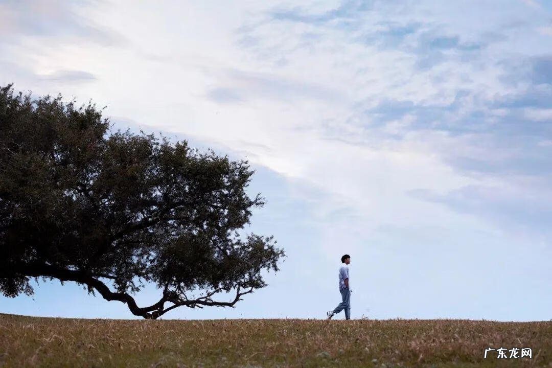 人间残渣存档在哪里 人间残渣讲了个什么故事