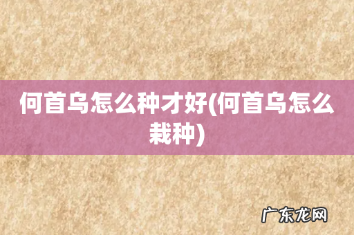 何首乌怎么栽种 何首乌怎么种才好