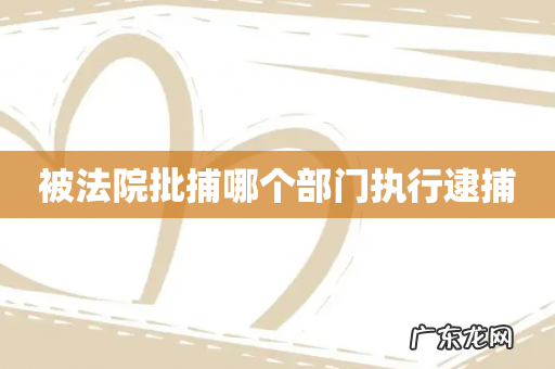 被法院批捕哪个部门执行逮捕