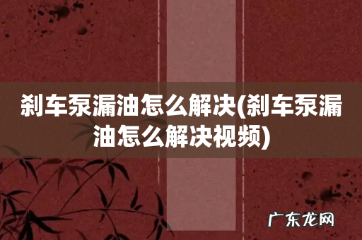 刹车泵漏油怎么解决视频 刹车泵漏油怎么解决