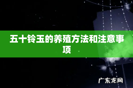五十铃玉的养殖方法和注意事项