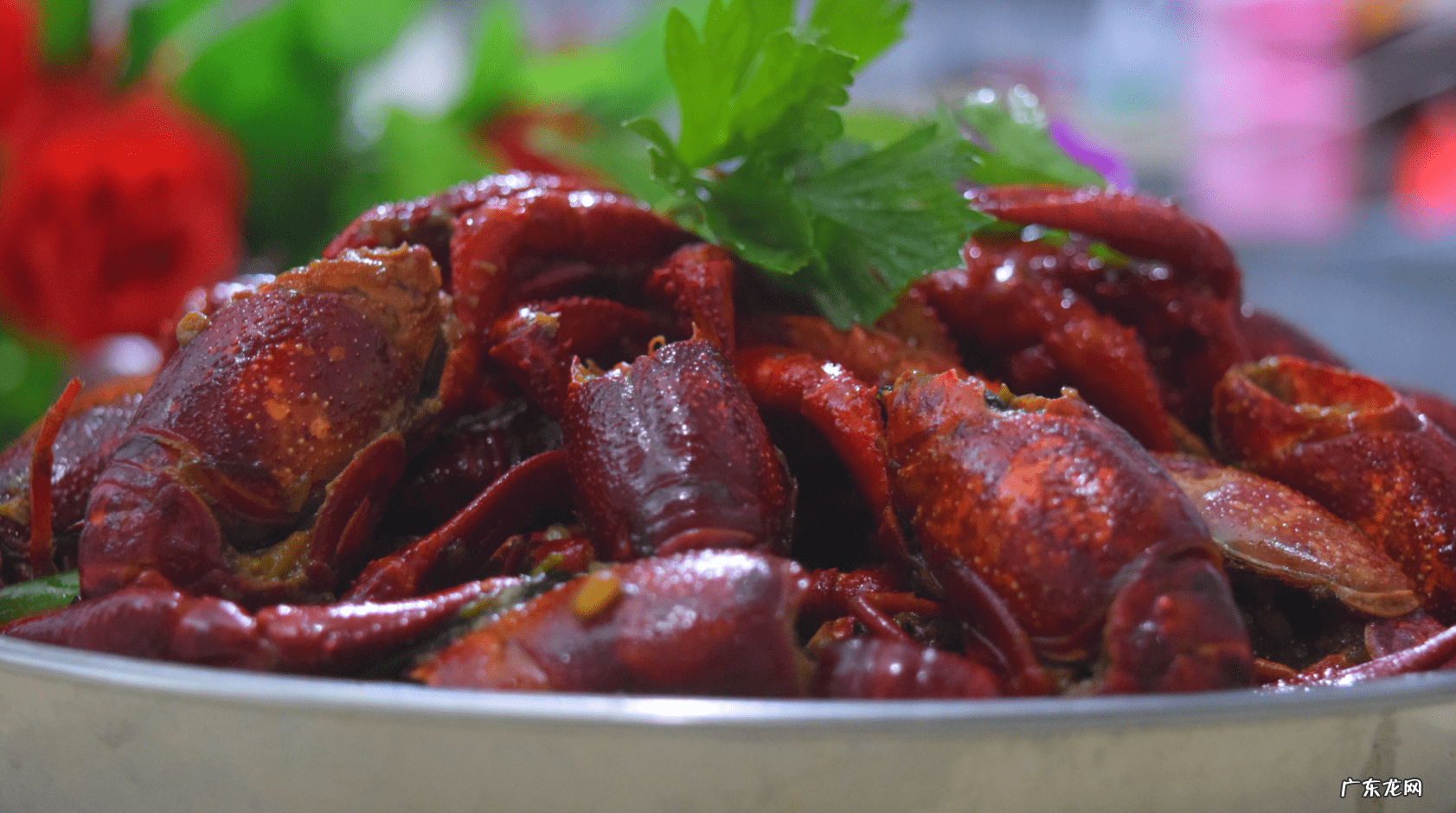 龙虾尾的做法大全 小龙虾的做法大全家常做法