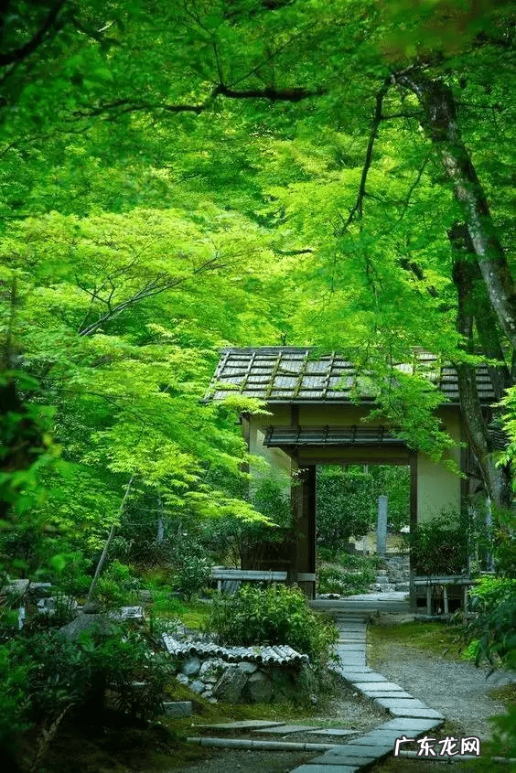 中国风水门派 唐代风水门派